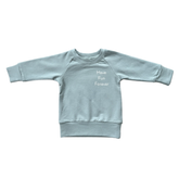 Boy's Raglan Sweatshirt Bamboo/Cotton Baby/Kid Clothing Fall