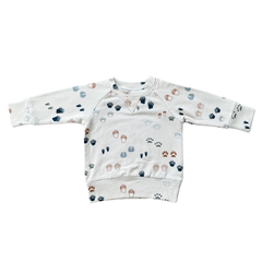 Boy's Raglan Sweatshirt Bamboo/Cotton Baby/Kid Clothing Fall
