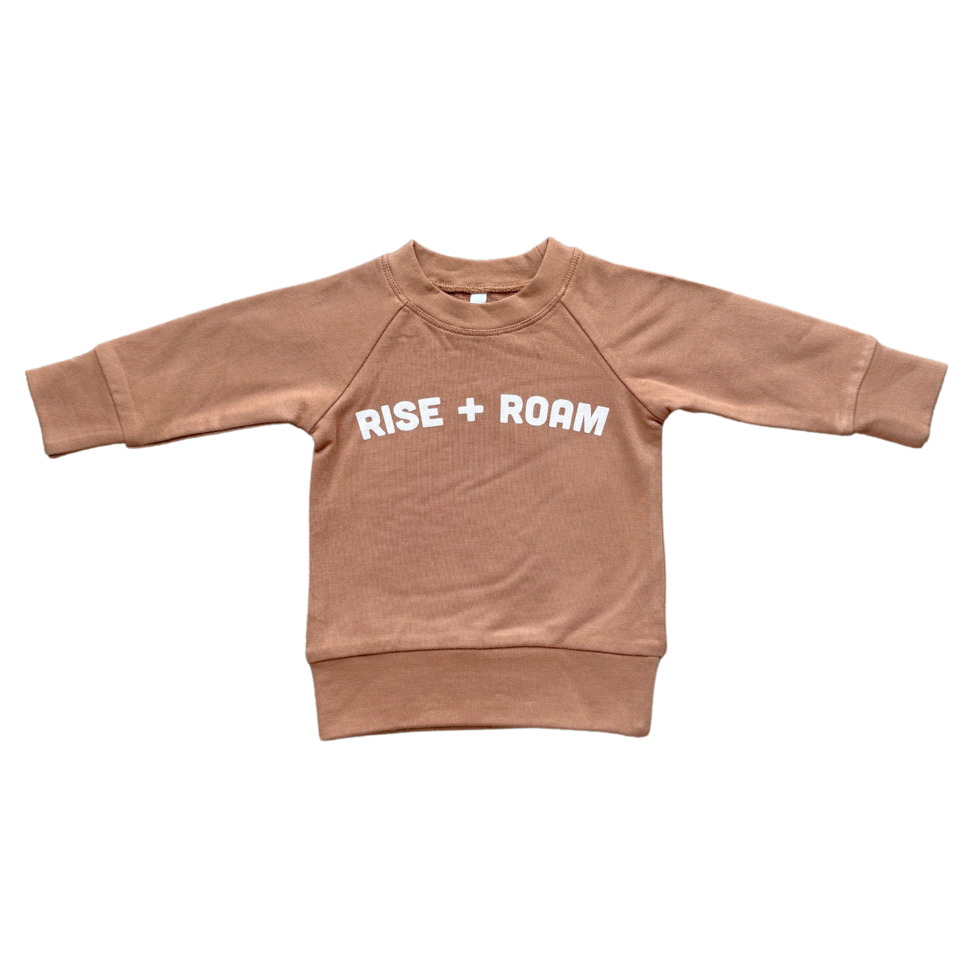 Boy's Raglan Sweatshirt Bamboo/Cotton Baby/Kid Clothing Fall