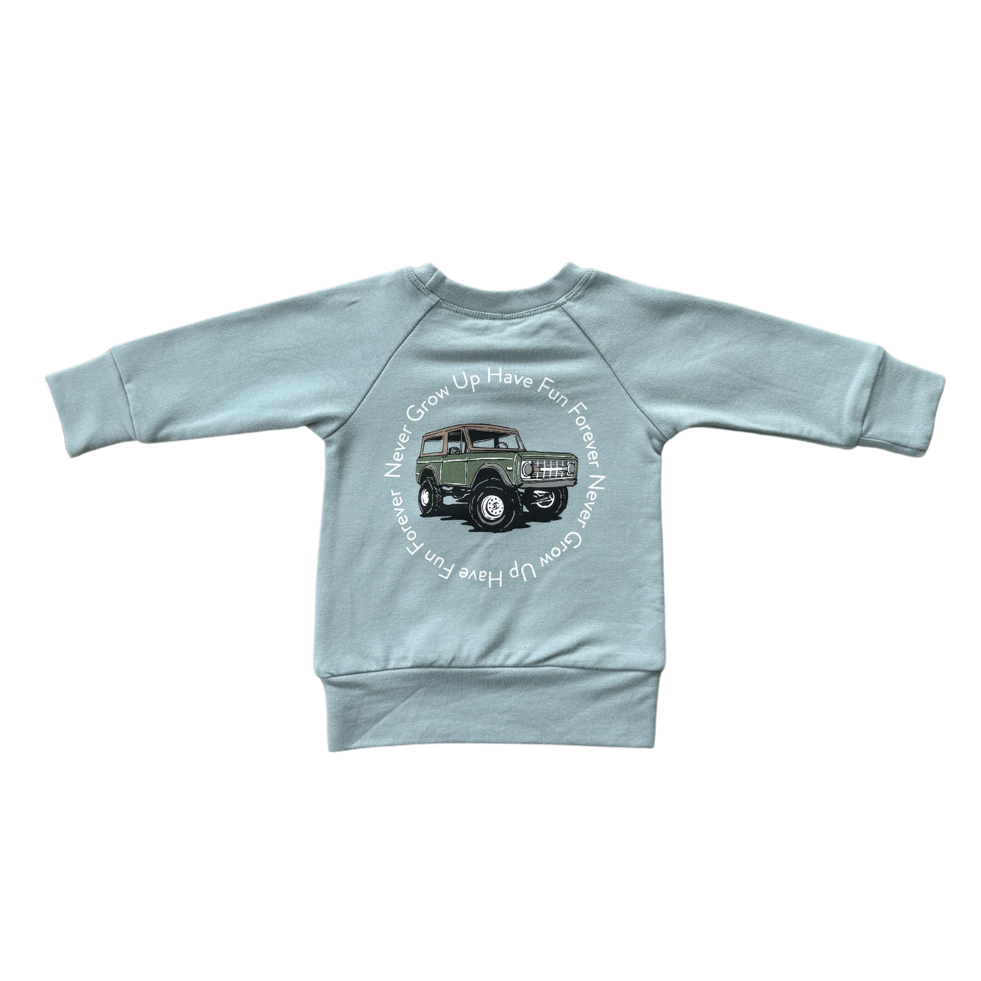 Boy's Raglan Sweatshirt Bamboo/Cotton Baby/Kid Clothing Fall