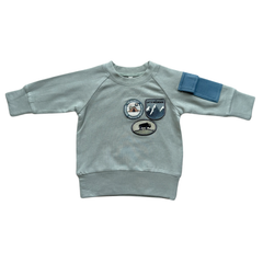 Boy's Raglan Sweatshirt Bamboo/Cotton Baby/Kid Clothing Fall